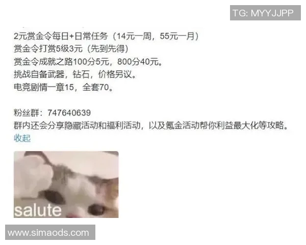 深度对话：周秀英在英雄联盟中的成长与挑战之路